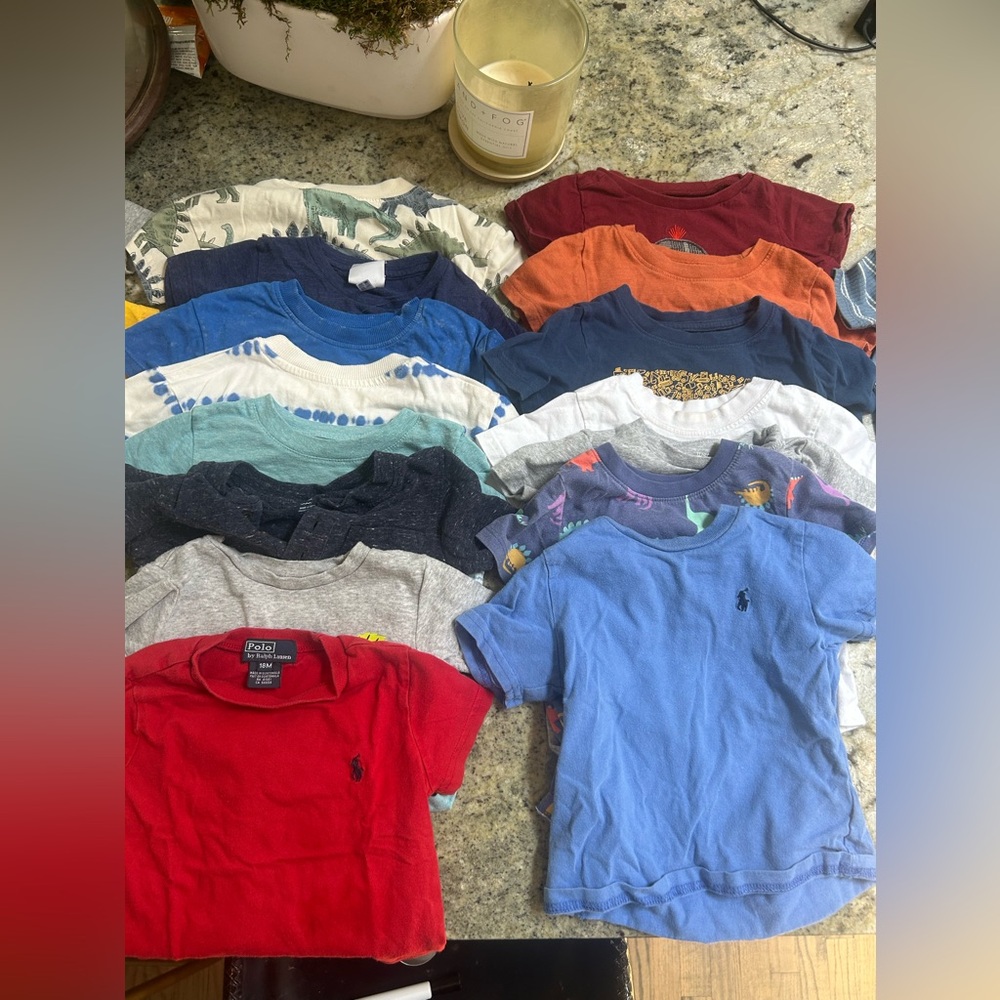 Boys 18M T-Shirt Bundle